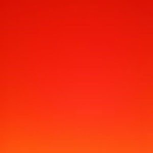 Meet your Posher, Ana